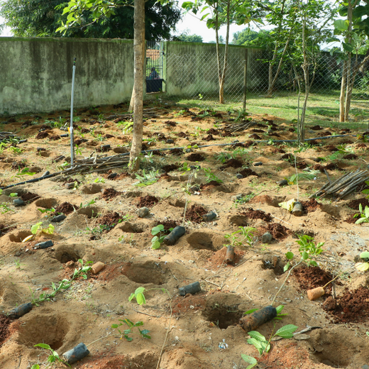 Caterpillar's Legacy: A Thriving Learning forest in Kilambakkam – Planting
