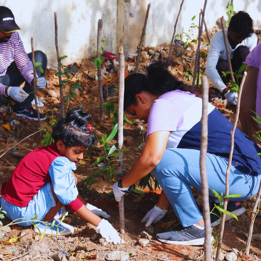 Caterpillar's Legacy: A Learning forest in Chennai Nanganallur – 6 months