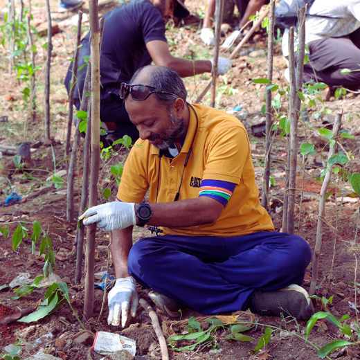 Caterpillar's Legacy: A Learning forest in Chennai Nanganallur – 6 months
