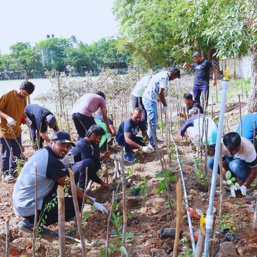 Caterpillar's Legacy: A Learning forest in Chennai Nanganallur – 6 months