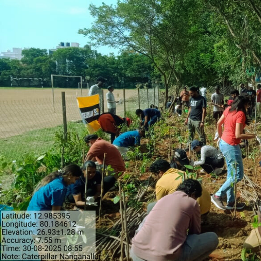 Caterpillar's Legacy: A Learning forest in Chennai Nanganallur – 6 months