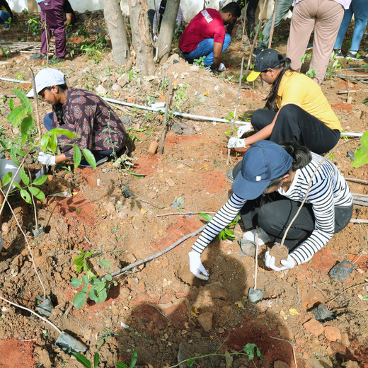 Caterpillar's Legacy: A Learning forest in Chennai Nanganallur – 6 months