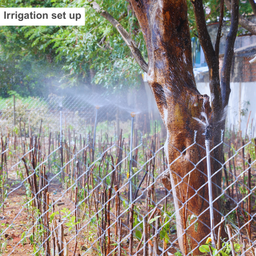 Caterpillar's Legacy: A Learning forest in Chennai Nanganallur – Planting