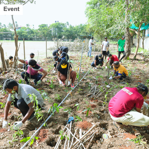 Caterpillar's Legacy: A Learning forest in Chennai Nanganallur – 6 months