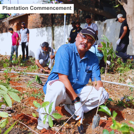Caterpillar's Legacy: A Learning forest in Chennai Nanganallur – 6 months