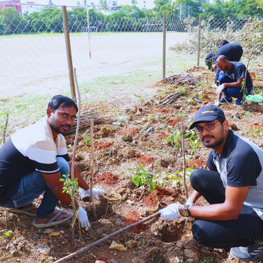 Caterpillar's Legacy: A Learning forest in Chennai Nanganallur – 6 months