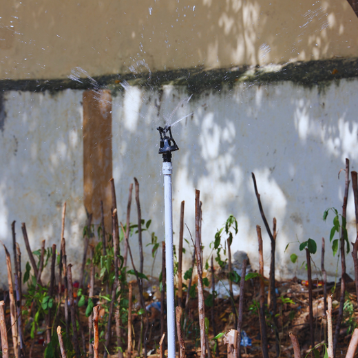 Caterpillar's Legacy: A Learning forest in Chennai Nanganallur – Planting