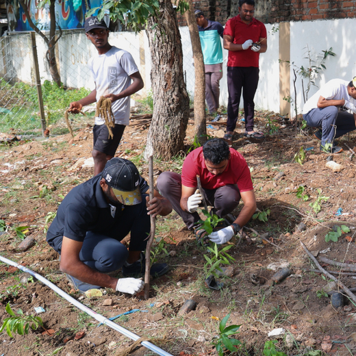 Caterpillar's Legacy: A Learning forest in Chennai Nanganallur – 6 months