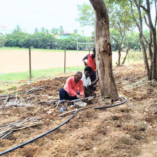 Caterpillar's Legacy: A Learning forest in Chennai Nanganallur – Planting
