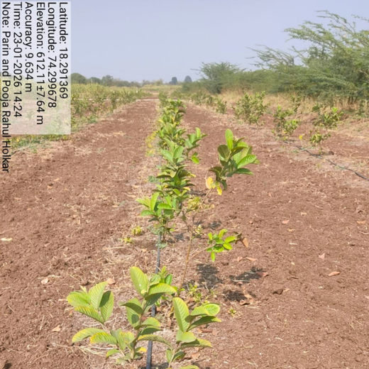 Pooja and Parin Shah’s Living Birthday Gift for Vihaa – Planting