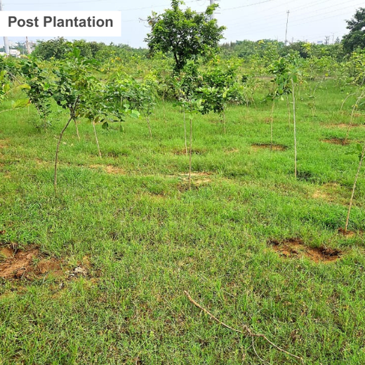 Premier Tech’s Green Footprint in Greater Noida – 1 year
