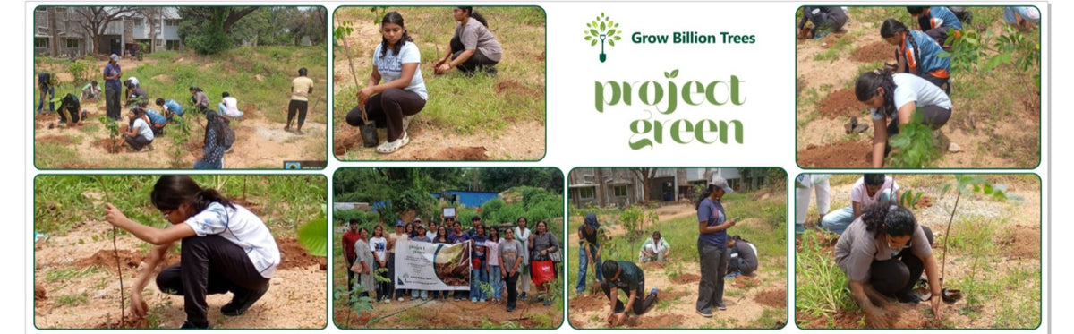Growing Tree Project Greenprints for Tomorrow: Project Green’s Youth-Led Forest Vision ...