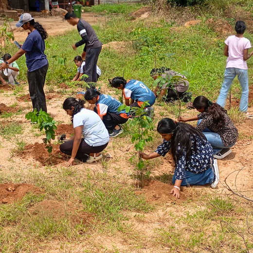 Greenprints for Tomorrow: Project Green’s Youth-Led Forest Vision – Planting