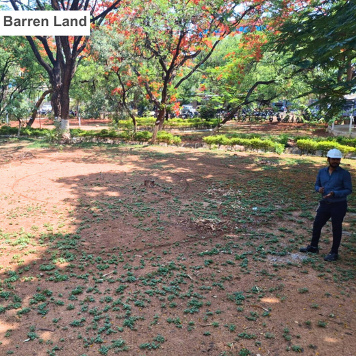 Mini Forests, Mighty Impact: TKIL’s Green Action on World Environment Day – Planting