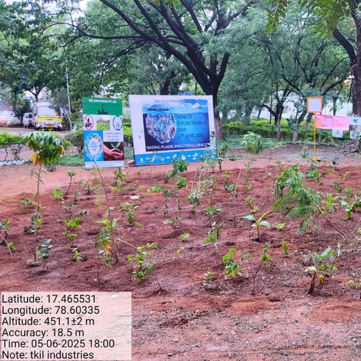 Mini Forests, Mighty Impact: TKIL’s Green Action on World Environment Day – 1 year
