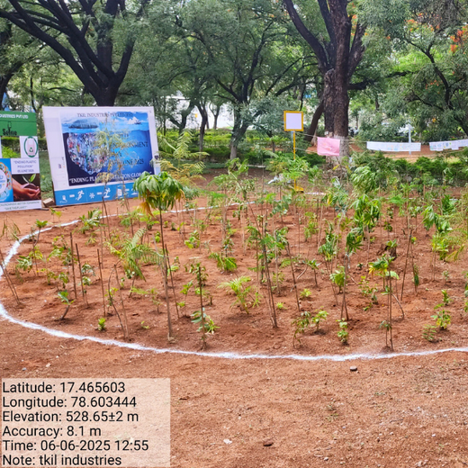 Mini Forests, Mighty Impact: TKIL’s Green Action on World Environment Day – 6 months