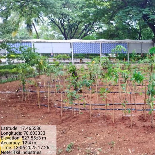Mini Forests, Mighty Impact: TKIL’s Green Action on World Environment Day – 1 year