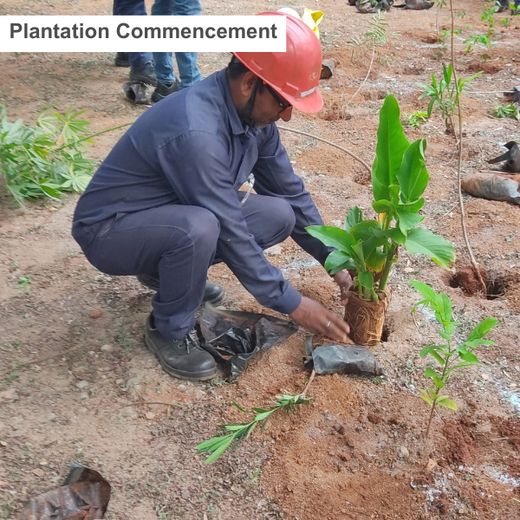 Mini Forests, Mighty Impact: TKIL’s Green Action on World Environment Day – 6 months