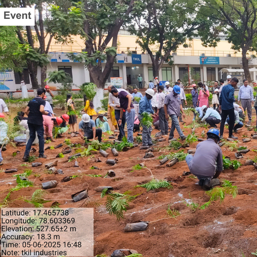 Mini Forests, Mighty Impact: TKIL’s Green Action on World Environment Day – 6 months