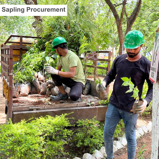 Mini Forests, Mighty Impact: TKIL’s Green Action on World Environment Day – Planting