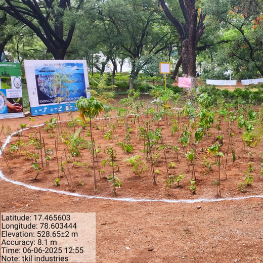Mini Forests, Mighty Impact: TKIL’s Green Action on World Environment Day – 1 year