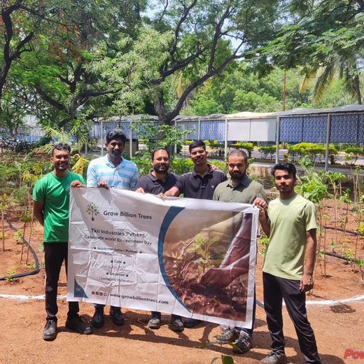 Mini Forests, Mighty Impact: TKIL’s Green Action on World Environment Day – 6 months