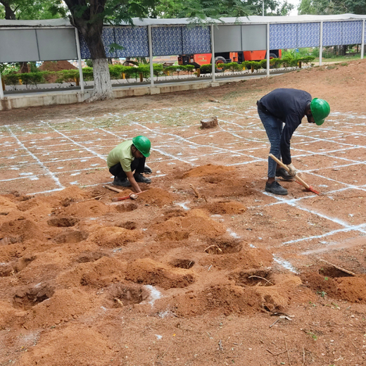 Mini Forests, Mighty Impact: TKIL’s Green Action on World Environment Day – Planting