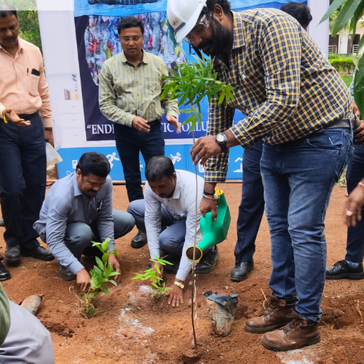 Mini Forests, Mighty Impact: TKIL’s Green Action on World Environment Day – 6 months
