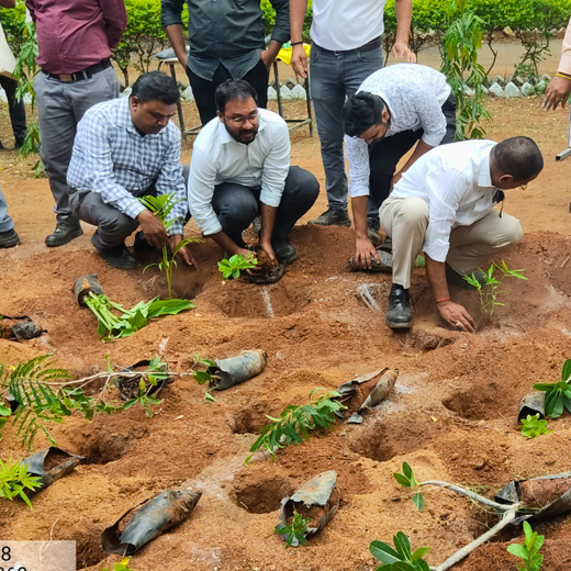 Mini Forests, Mighty Impact: TKIL’s Green Action on World Environment Day – 6 months