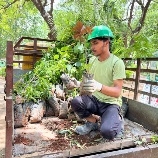 Mini Forests, Mighty Impact: TKIL’s Green Action on World Environment Day – Planting