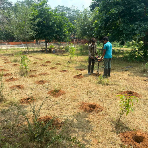 Rooted in Excellence: Wellversed’s Collective Commitment to Growth – Planting