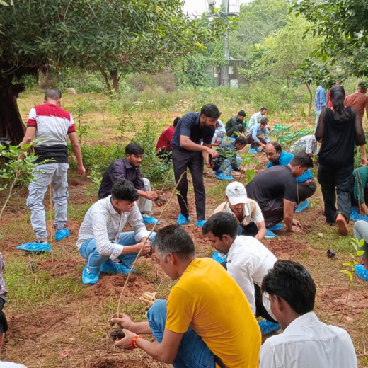 Rooted in Excellence: Wellversed’s Collective Commitment to Growth – Planting