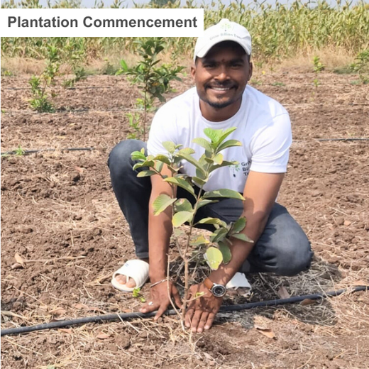 Sustaining Tomorrow: WoodnZen’s Step Toward Ecological Balance – Planting