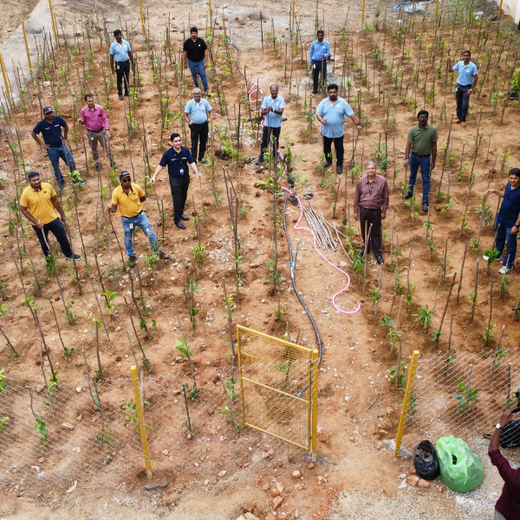 Caterpillar's Legacy: A Learning forest in Denkanikottai Tamilnadu – 1 year