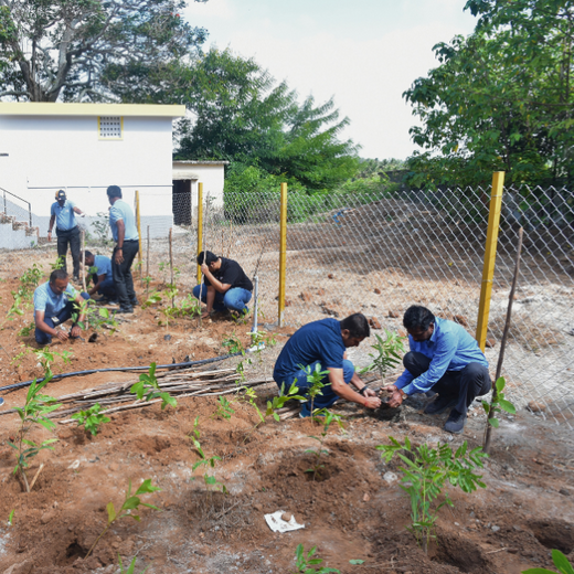 Caterpillar's Legacy: A Learning forest in Denkanikottai Tamilnadu – 6 months