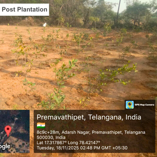 Fit for the Future: ABC Fitness Solutions’ Urban Forest Drive – Planting