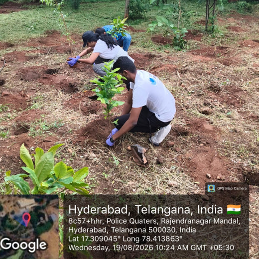 Creating Lasting Green Impact with ABC Fitness Solutions India – Planting