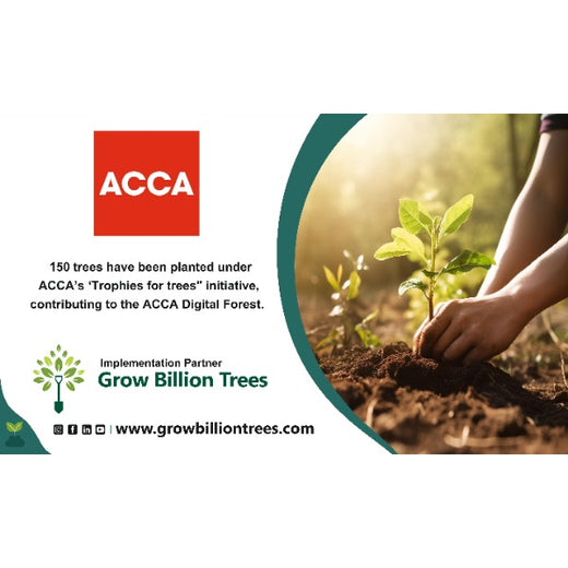 "ACCA Digital Forest" – 6 months