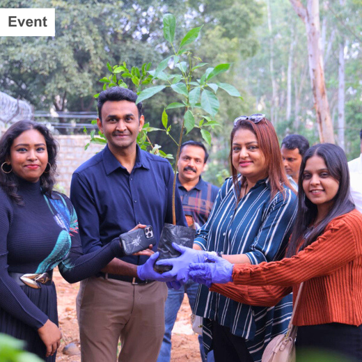 "ACCA Digital Forest" – 6 months