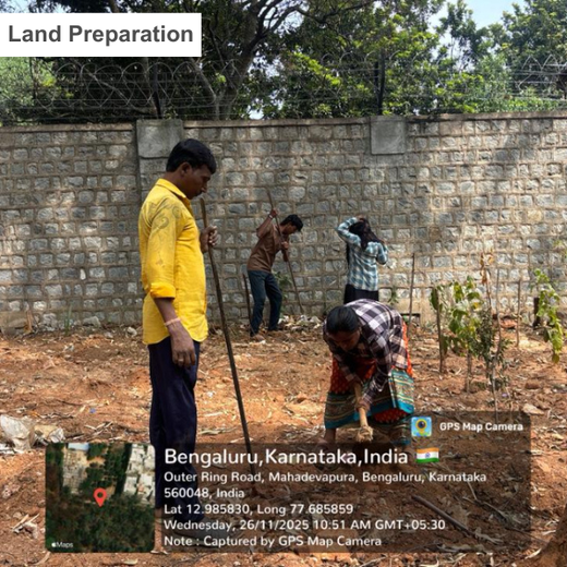 "ACCA Digital Forest" – Planting