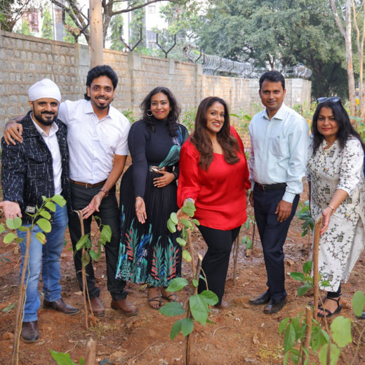 "ACCA Digital Forest" – 6 months