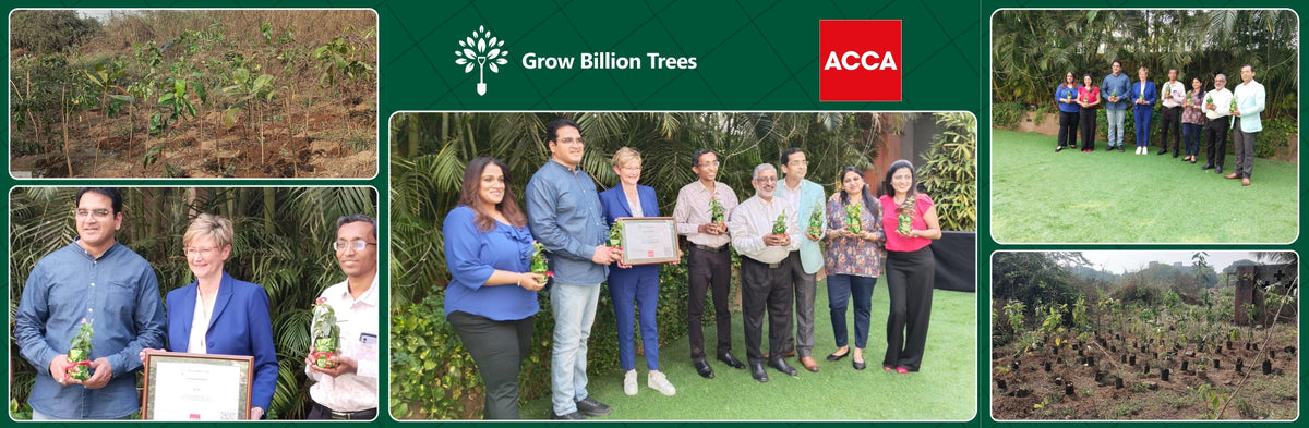 Building Green Futures: ACCA Urban Forest Initiative at JNPA, Mumbai