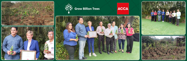 Building Green Futures: ACCA Urban Forest Initiative at JNPA, Mumbai