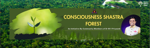 Greening the Earth, Awakening the Soul: Agroforests by Abundance Manifestation Solutions