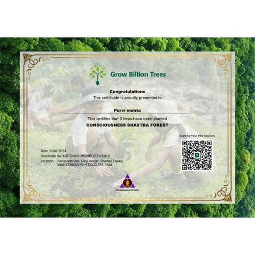 Greening the Earth, Awakening the Soul: Agroforests by Abundance Manifestation Solutions – Planting