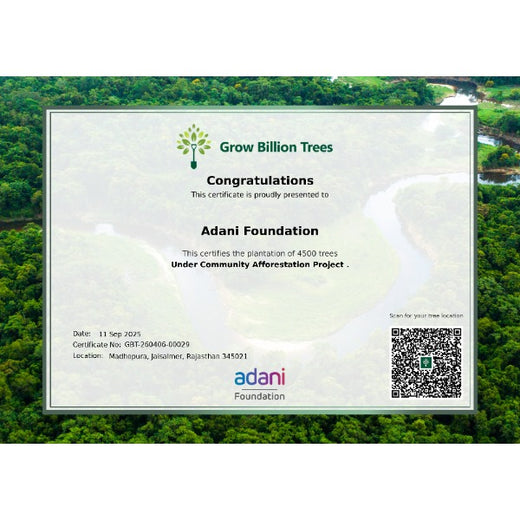 Greening Together: Adani Foundation’s Community-Led Afforestation – 6 months
