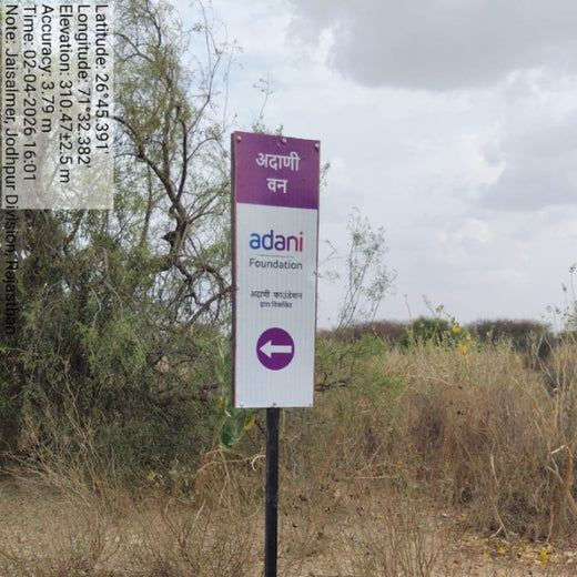 Greening Together: Adani Foundation’s Community-Led Afforestation – 2 years