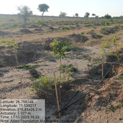 Greening Together: Adani Foundation’s Community-Led Afforestation – 2 years
