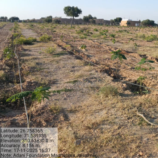 Greening Together: Adani Foundation’s Community-Led Afforestation – 2 years