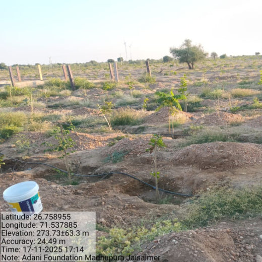 Greening Together: Adani Foundation’s Community-Led Afforestation – 2 years